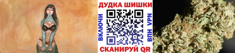 купить закладку  Михайловск  Конопля марихуана 